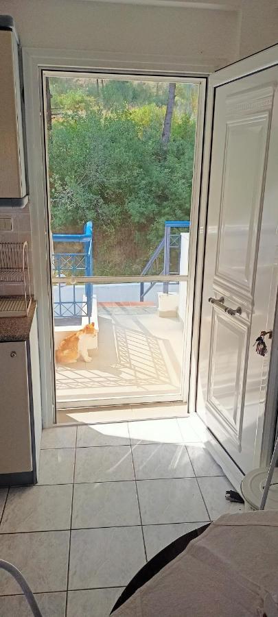 Siviri Sea & Forest-Cozy Apartment With Garden & Nature Views Экстерьер фото