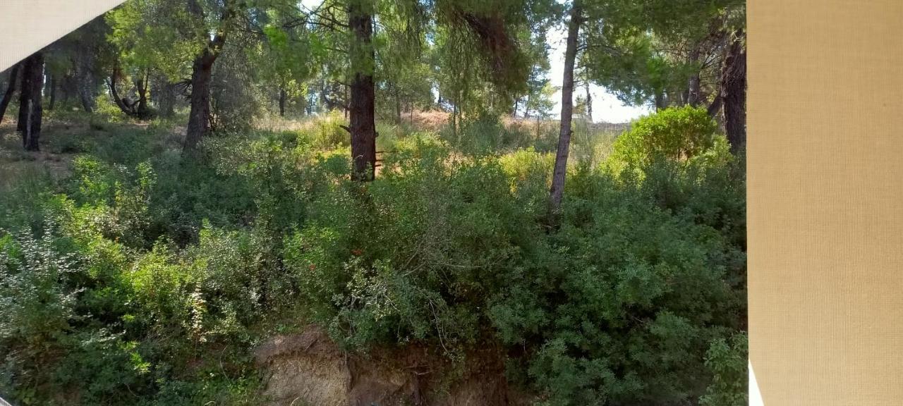 Siviri Sea & Forest-Cozy Apartment With Garden & Nature Views Экстерьер фото